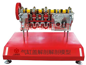 氣缸蓋解剖模型