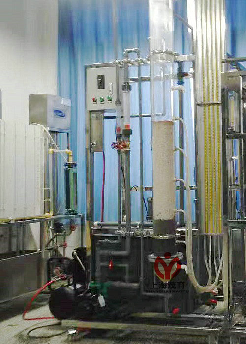 �^�V�c���_ϴ���